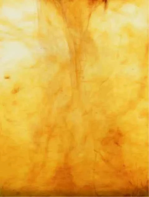 Hand Cream, Woody Amber & Leather